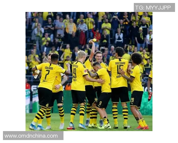 世界杯精彩对决多特蒙德6比2横扫那不勒斯战术解析引发全场热议